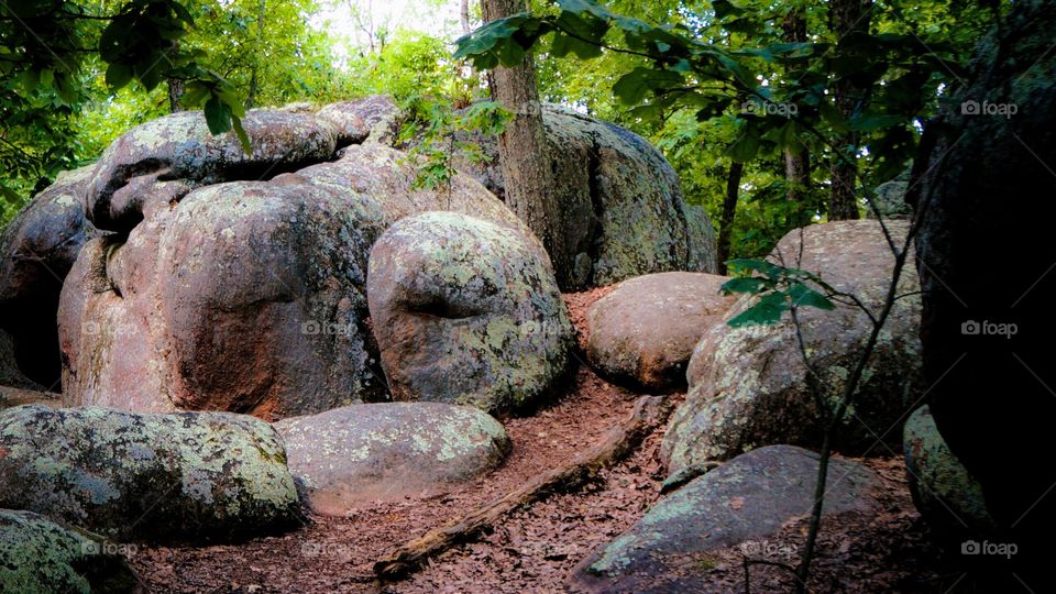 Scenic landscape view