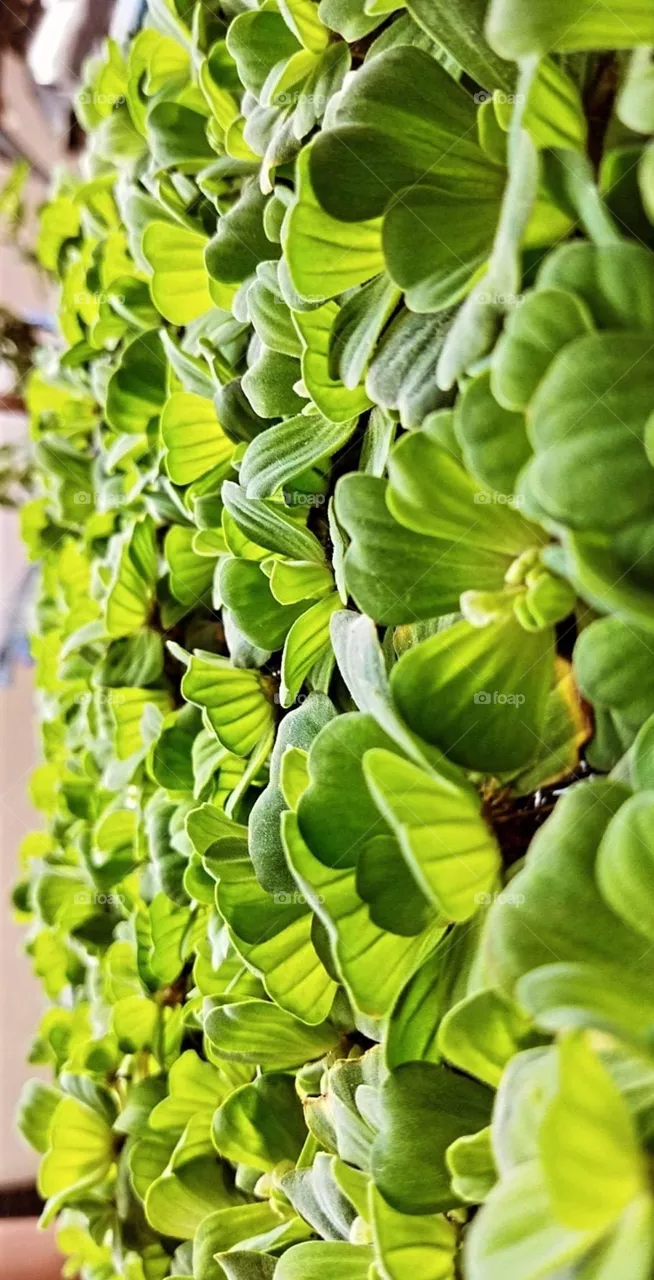 💚💚