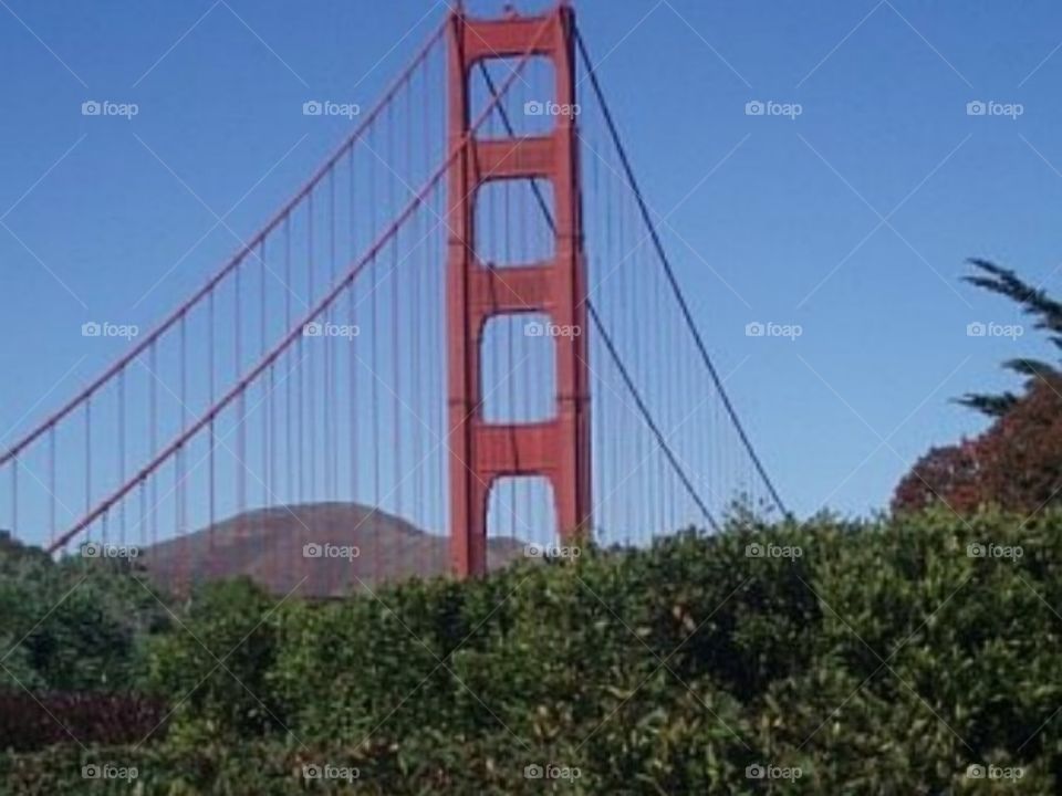 Golden Gate Bridge 