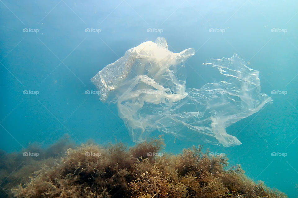 underwater plastic bag UFO