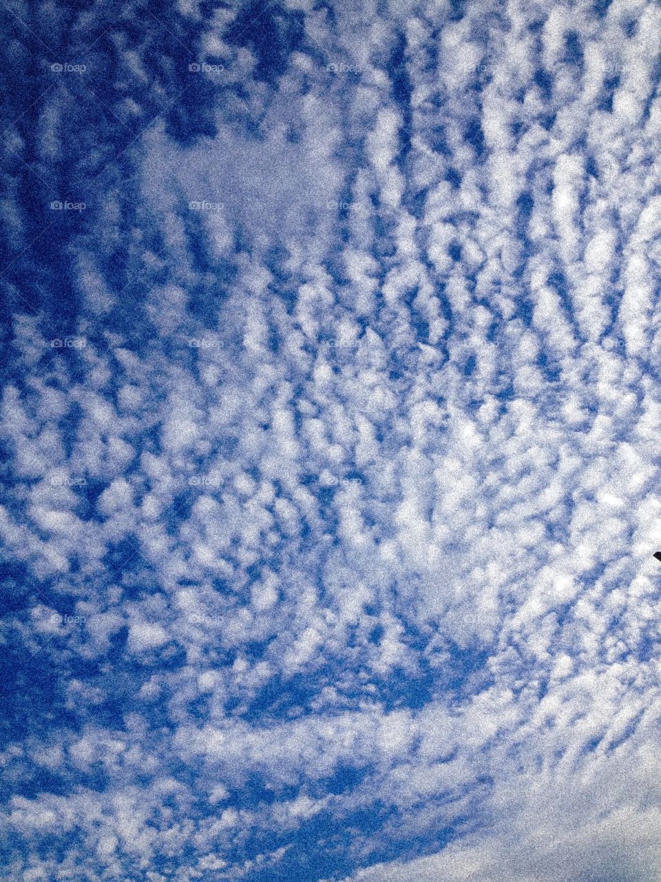  Versão granulada de uma foto de um céu azul coberto por fragmentos de uma nuvem limpa 