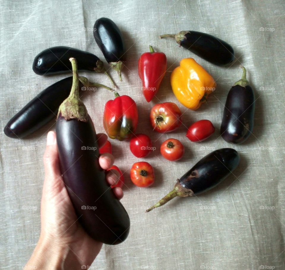 fresh vegetables harvest