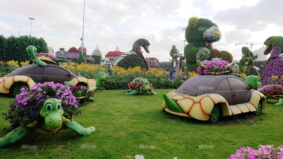 Dubai Miracle Garden