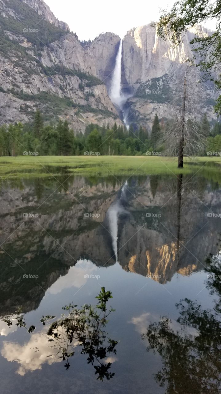 Mirror reflections