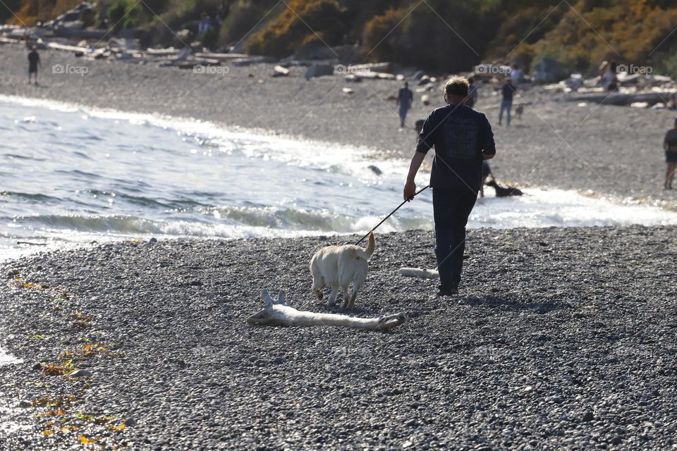 Walk on the beach