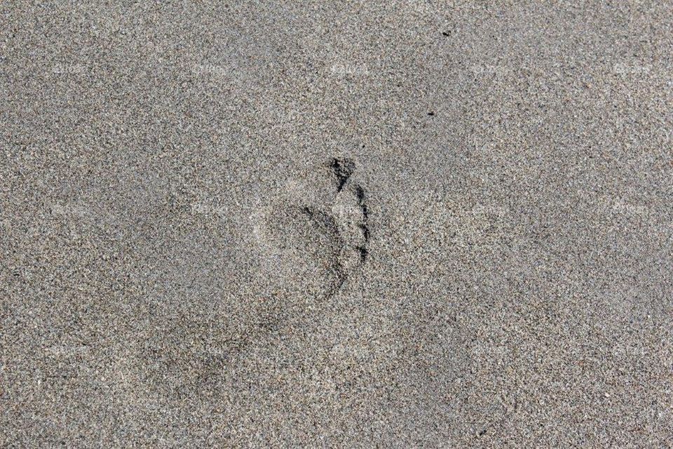 Footprint