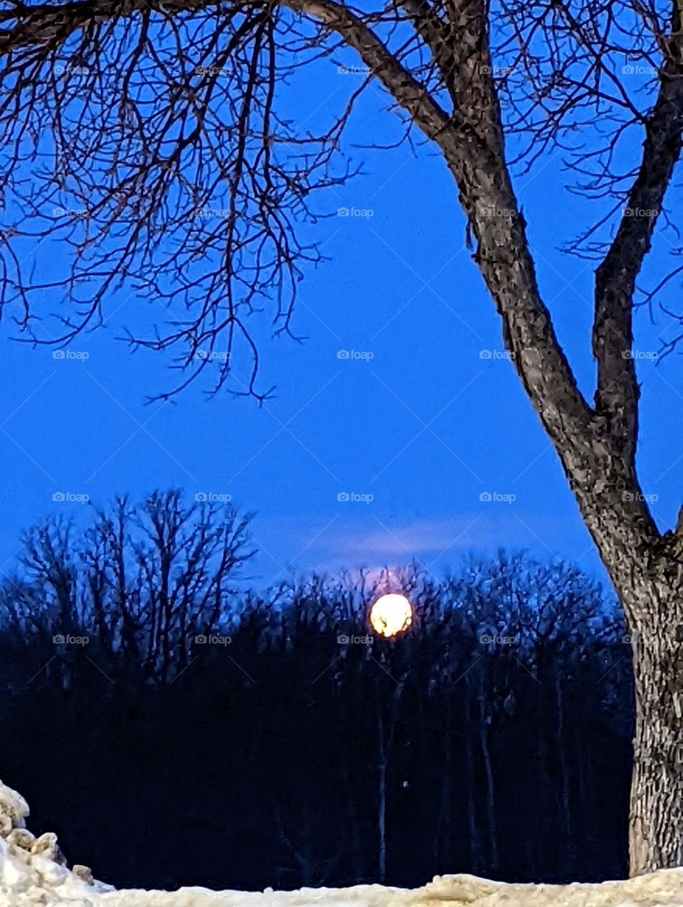 Moon in the early morning