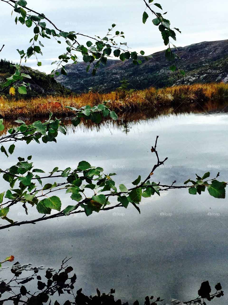 Flå, Hallingdal, Norway. Reflection in a mountain water