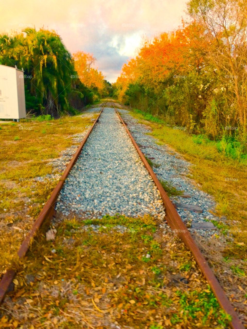 Abandoned railway tracks
