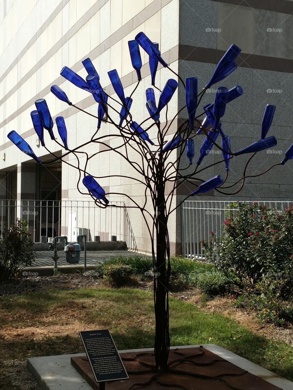 Bottle Tree