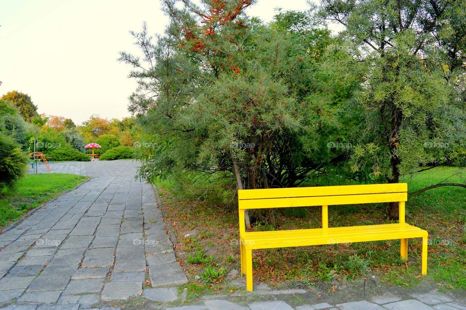 yellow bench in the park