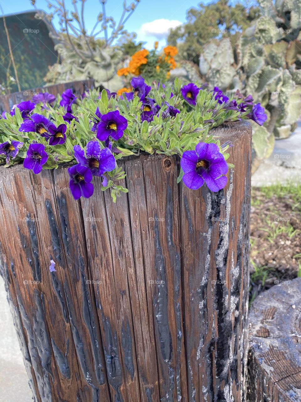 Flowers in wood post