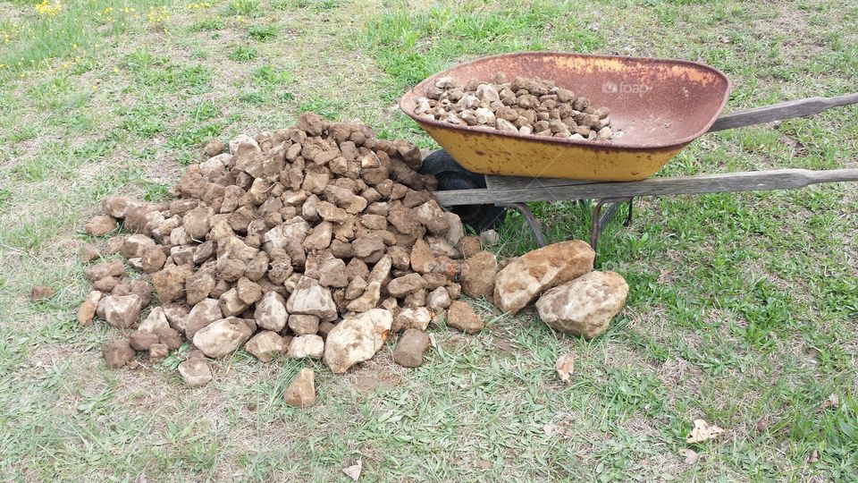 Rock Pile. Tilled out of a new garden plot