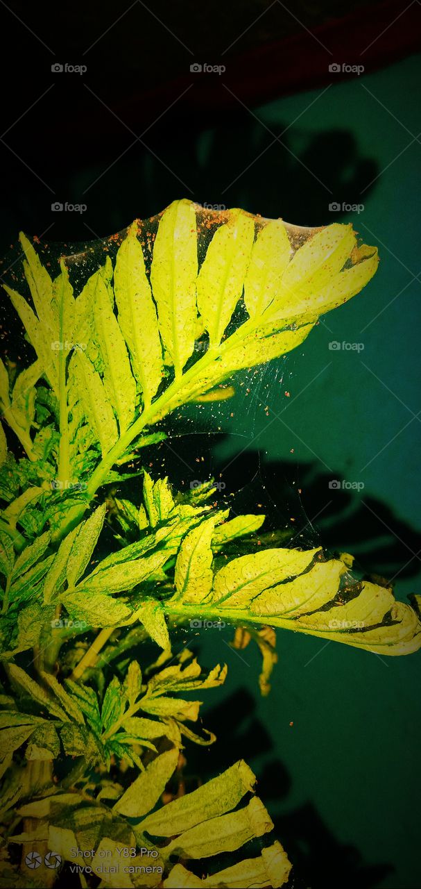 There is beauty in change, and these sunset quotes will remind you of the loveliness in endings that bring new beginnings.

Sunsets are not only beautiful, but they also have so much meaning. They signify endings, change, and transformation; they rem