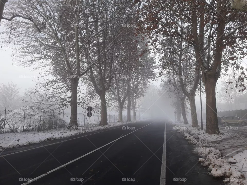 road in the fog