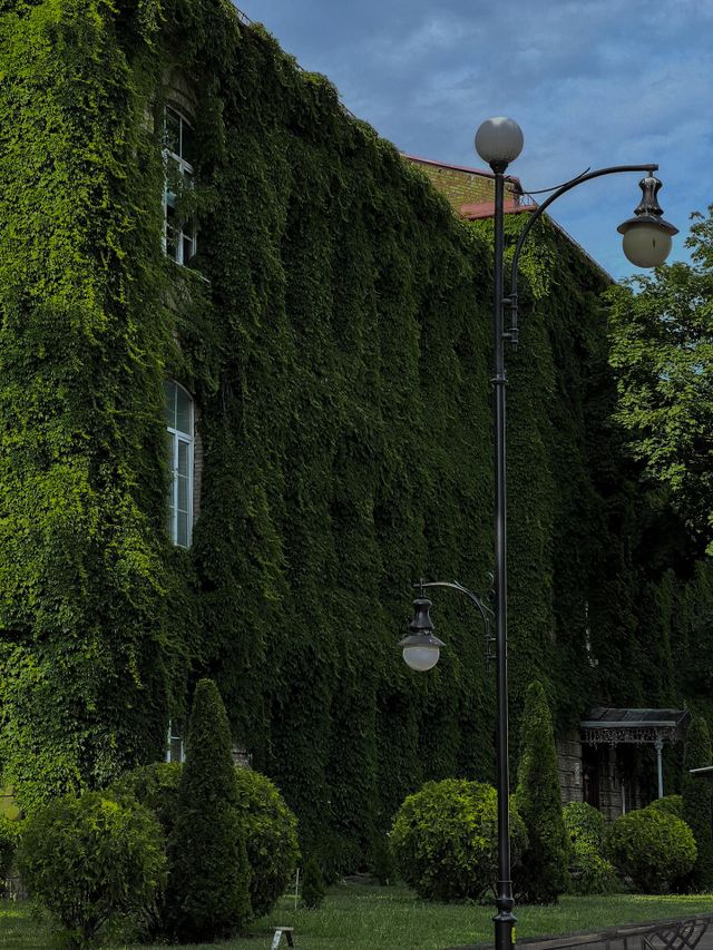 Green University. 