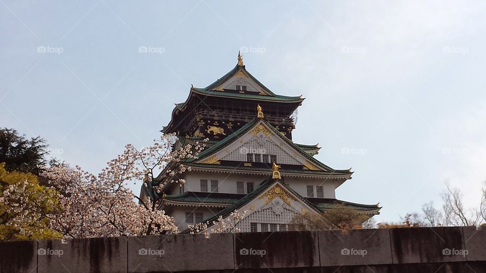 The Tip of the Story. Osaka Castle, though it had a brutal past, is simply beautiful and calming to gaze upon.