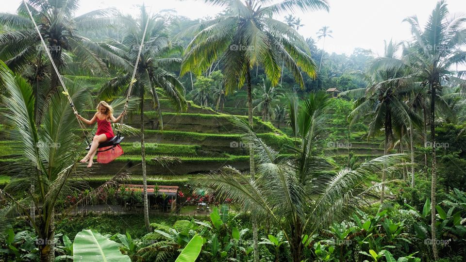 Girl in a Red dress swings above the ricefield