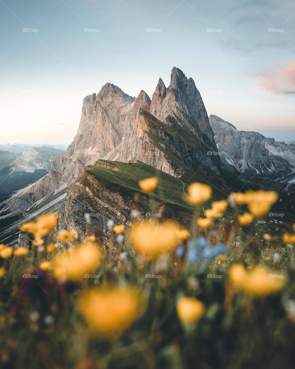„Sea of Flowers" - Seceda, Dolomites ⛰ 
I finally made it back to one of my favourite mountains in the Italien Dolomites! Have you already been here?😊 taken with a soft GND 0.9 & CPL #nisifilters [Anzeige] .