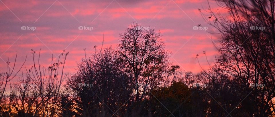 Fall sky