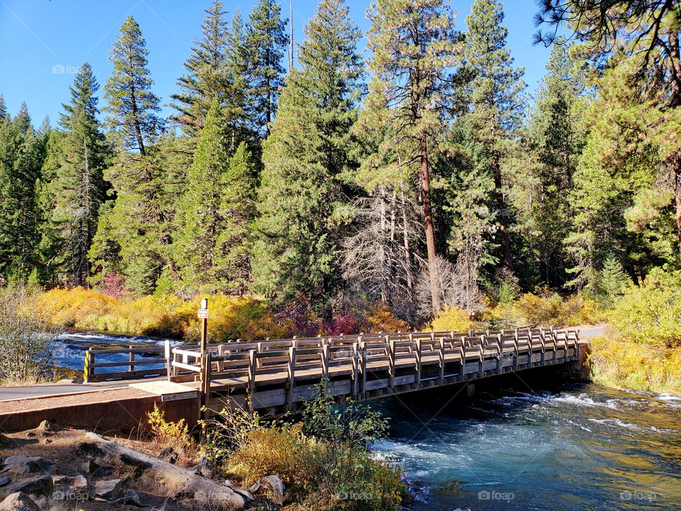 One-Lane bridge over the turquoise waters of the Metolius River at Wizard Falls with beautiful fall colors in the trees on its banks on a sunny Central Oregon autumn morning. 