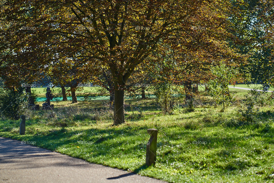 Autumn at the Park