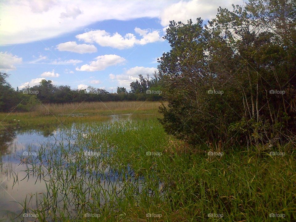Blue Sky and Clouds Over Everglades