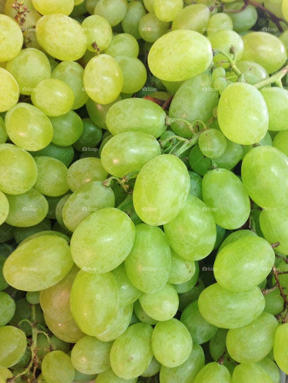 Close-up of grapes