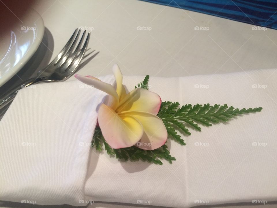 Place setting 