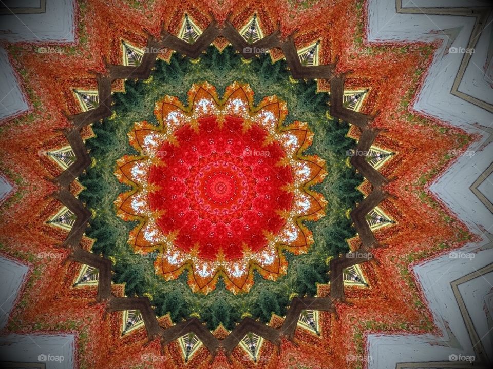 A Kaleidoscope  of Autumn with colorful leaves