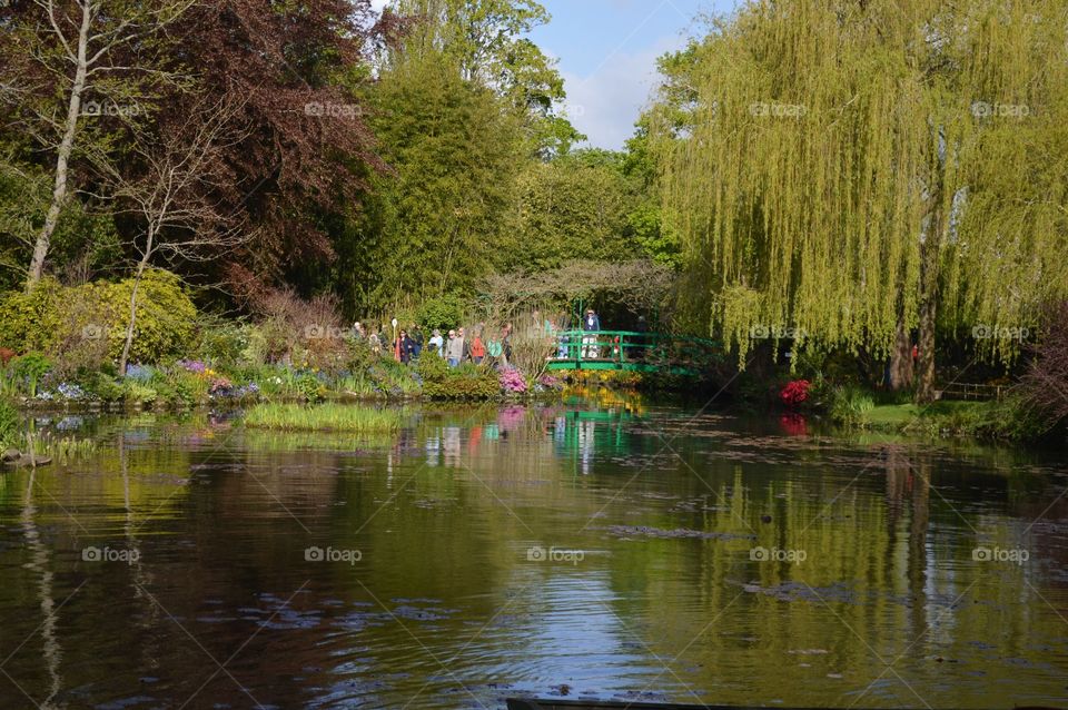 Reflections at Giverny 