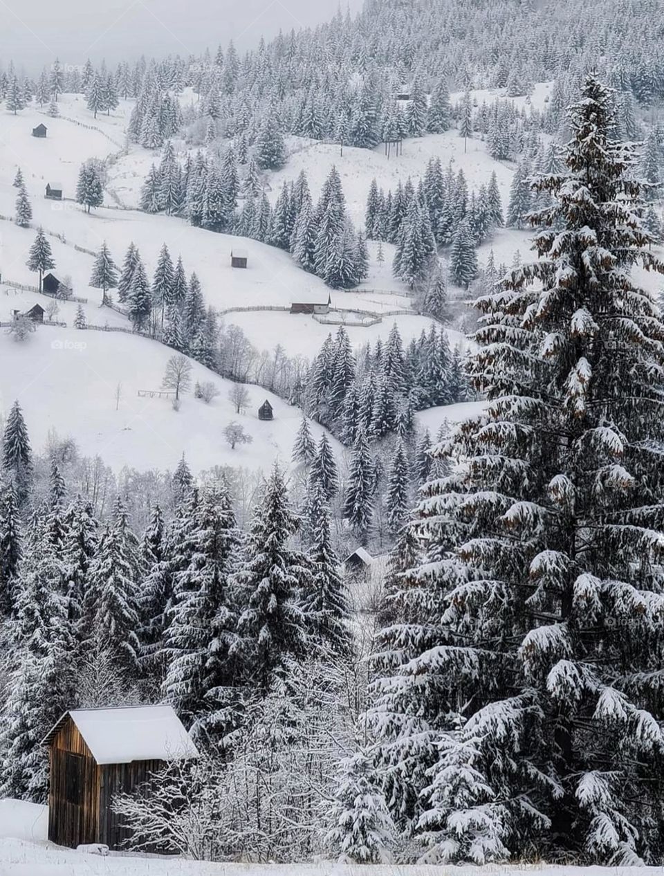 The village hidden from the world