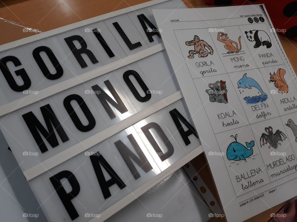 Aprendiendo a escribir