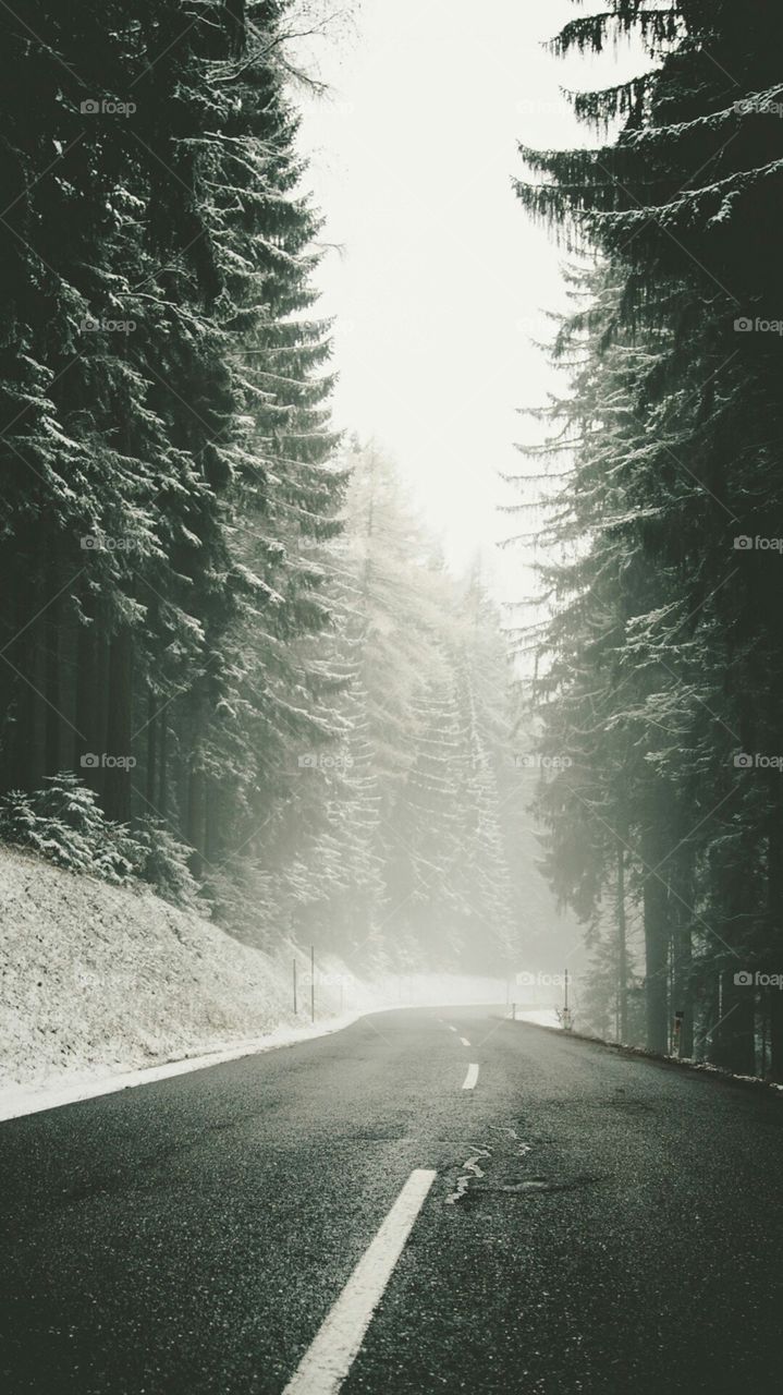 a road in winter
