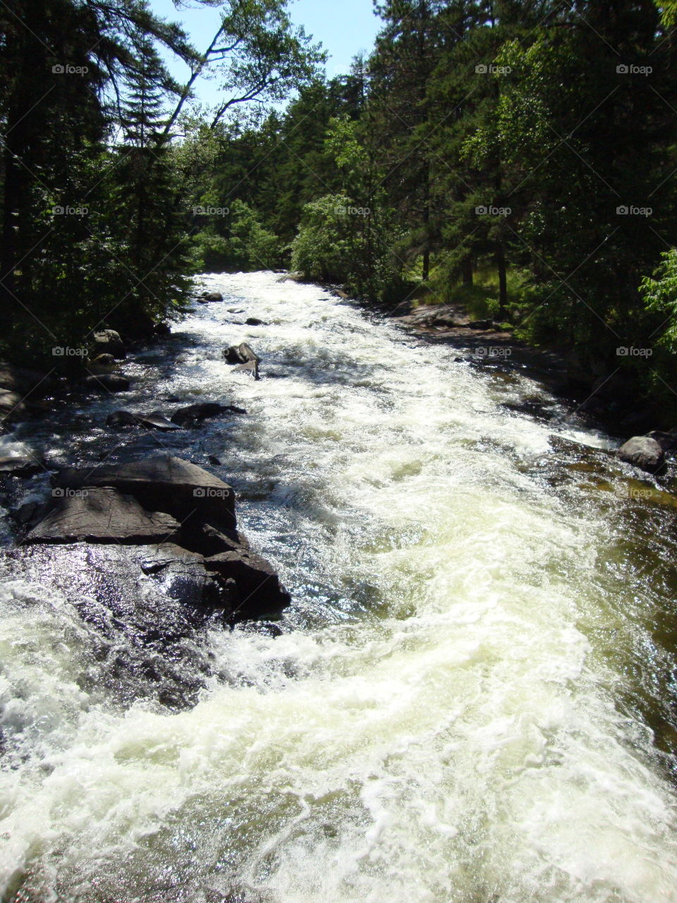 Rushing River Upper Rapids