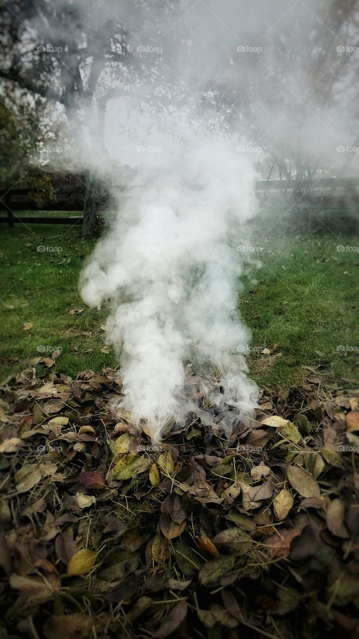 Saying goodbye to Summer