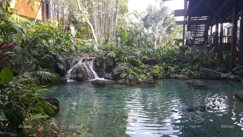 The sound of the waterfall is peaceful and relaxing outside the Polynesian Village Resort at the Walt Disney World Resort in Orlando, Florida.