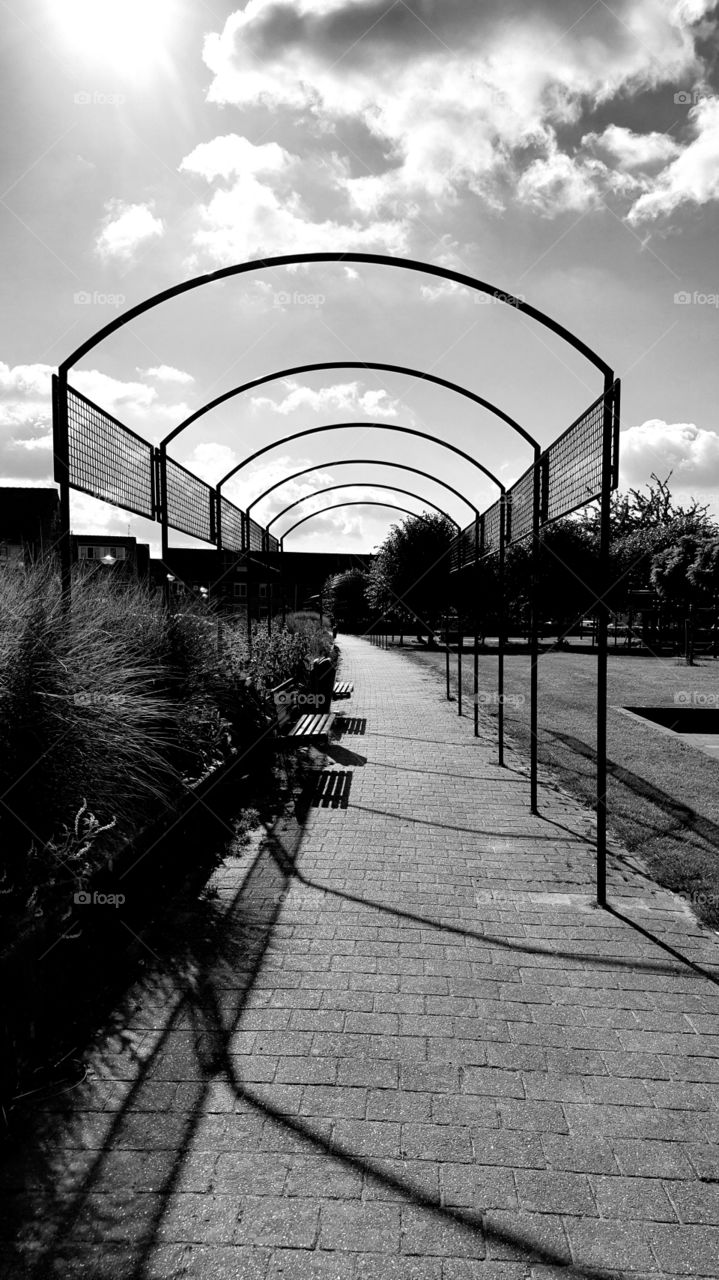 walking through bows