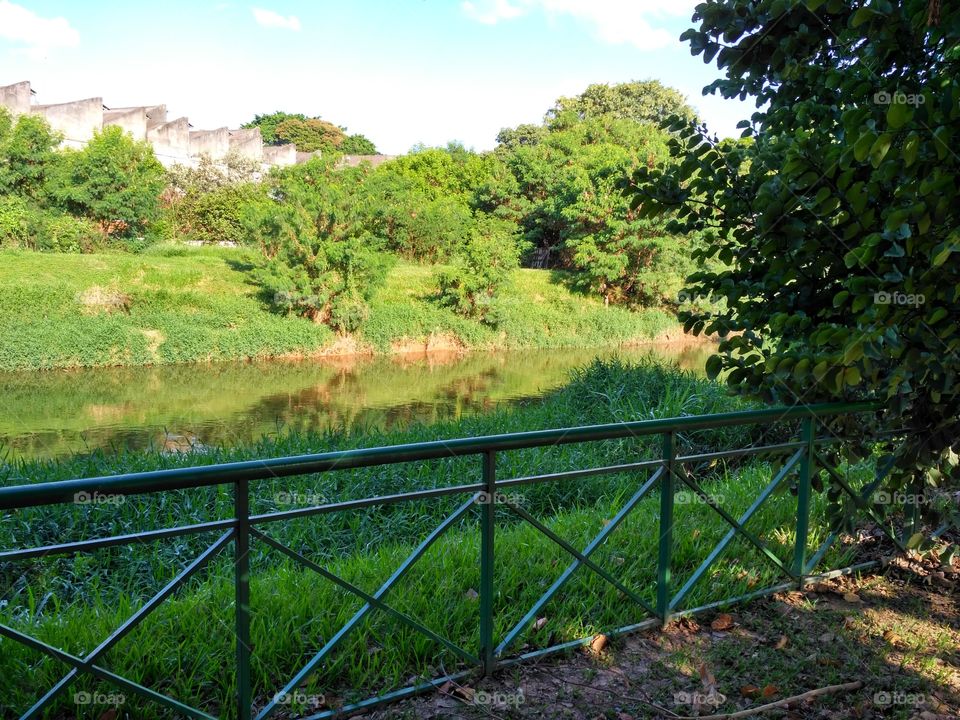 The river in green