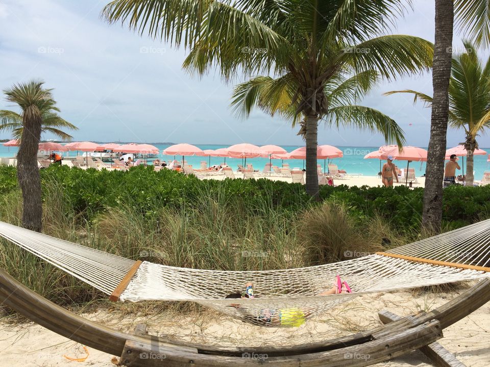 Tropical, Beach, Relaxation, Chair, Palm