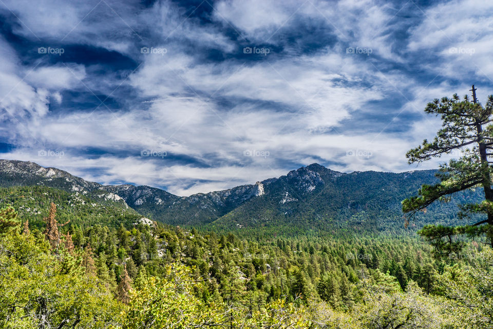 Idyllwild 4