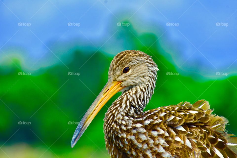 Ready for my portrait 