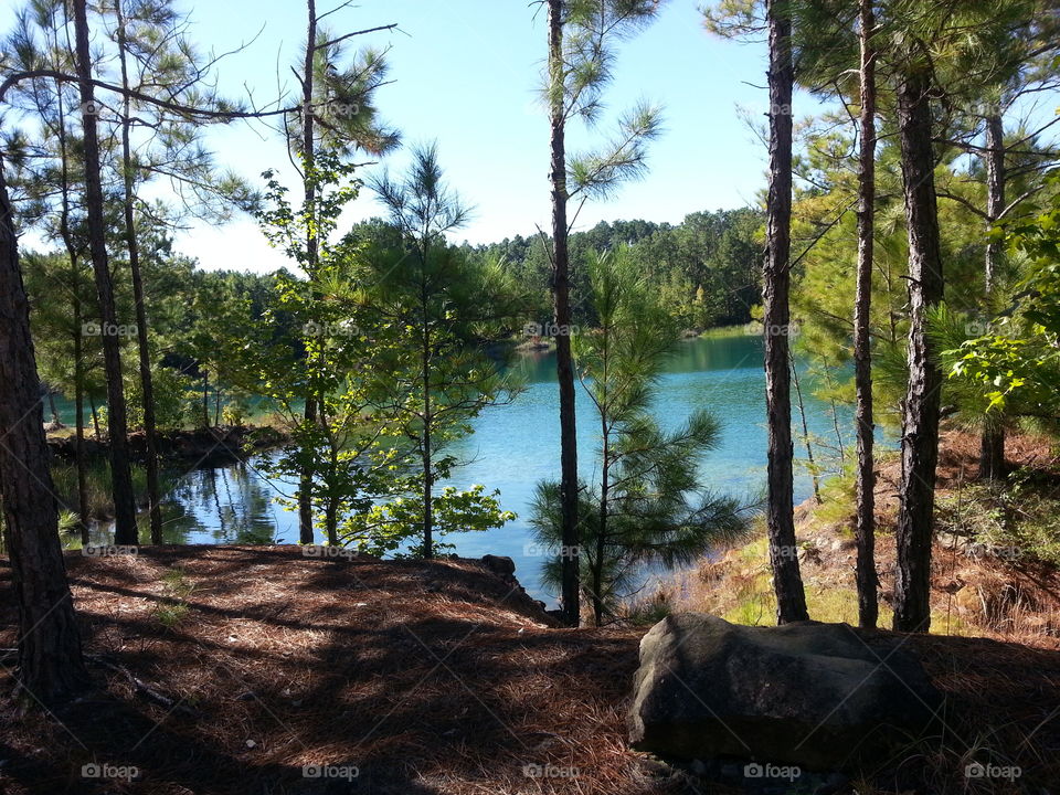 The Blue Lagoon - forest and lake