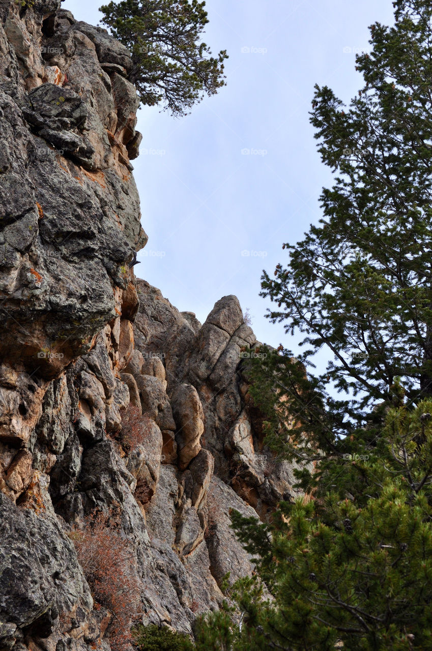 RMNP