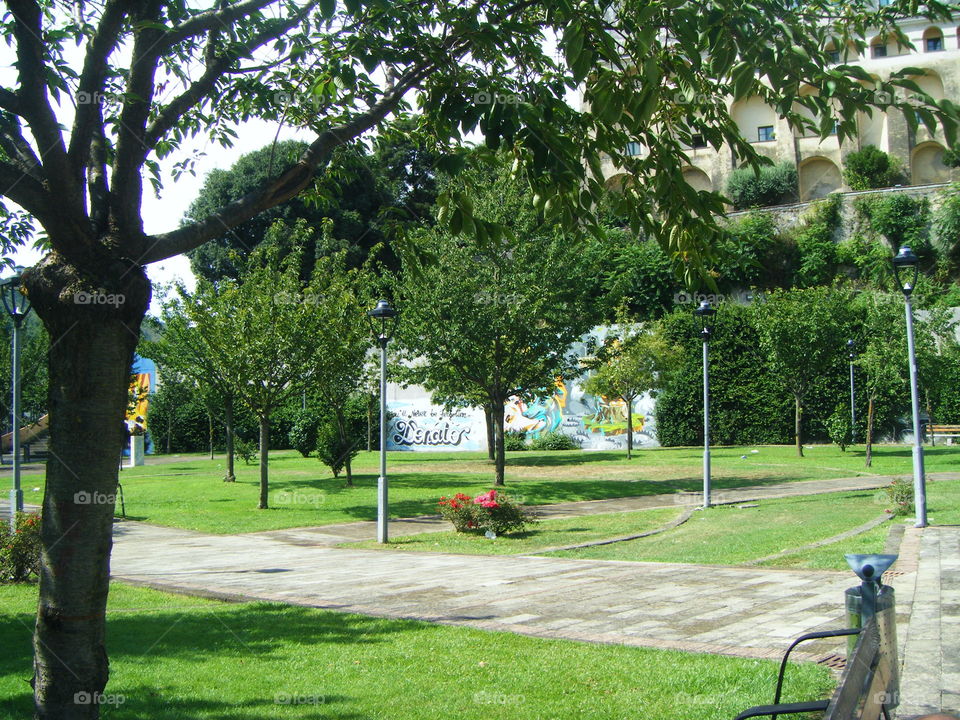 park