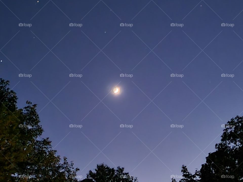 Waxing Crescent in June