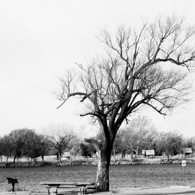 sit at the park