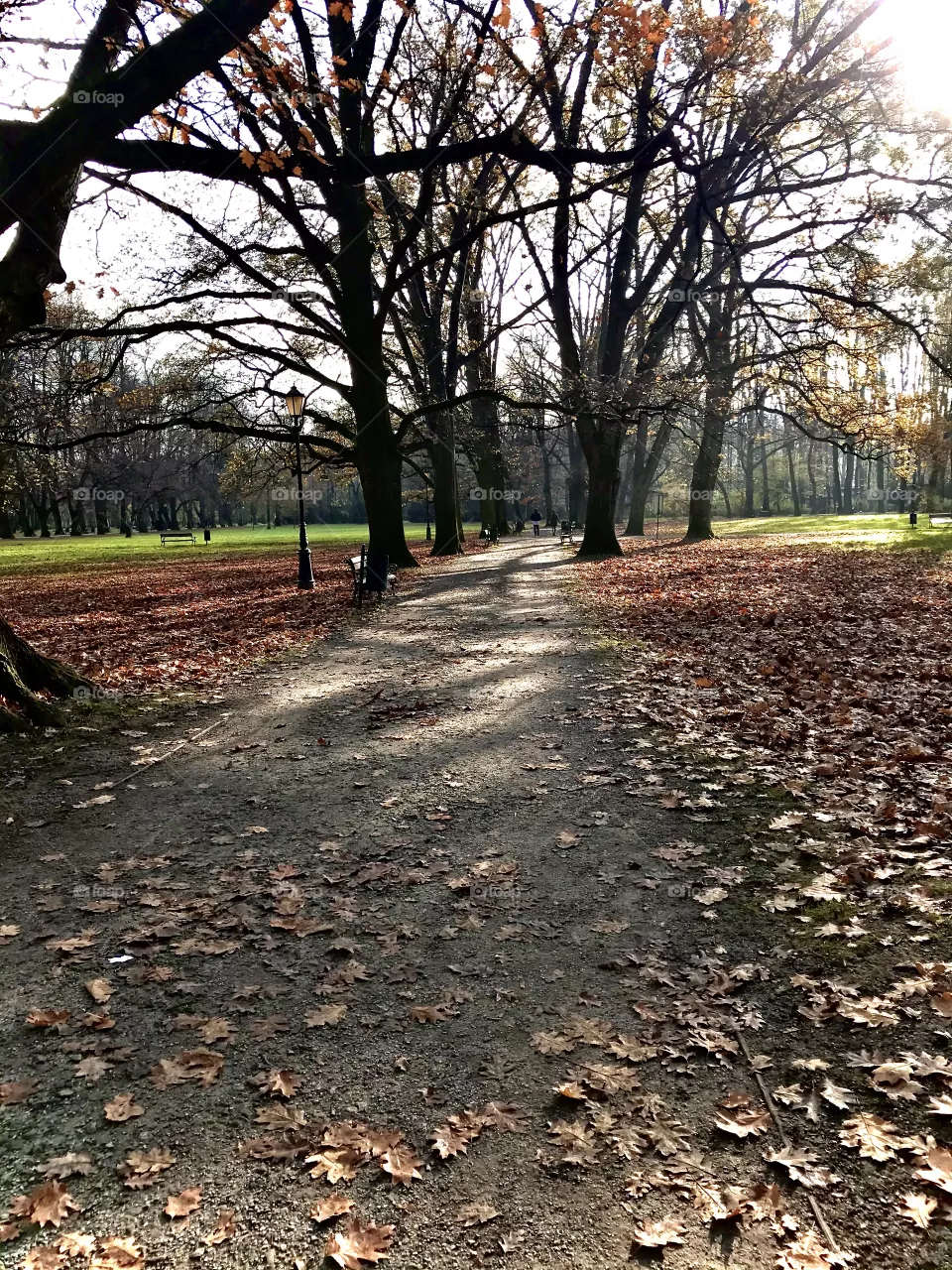 Autumn walk in the park