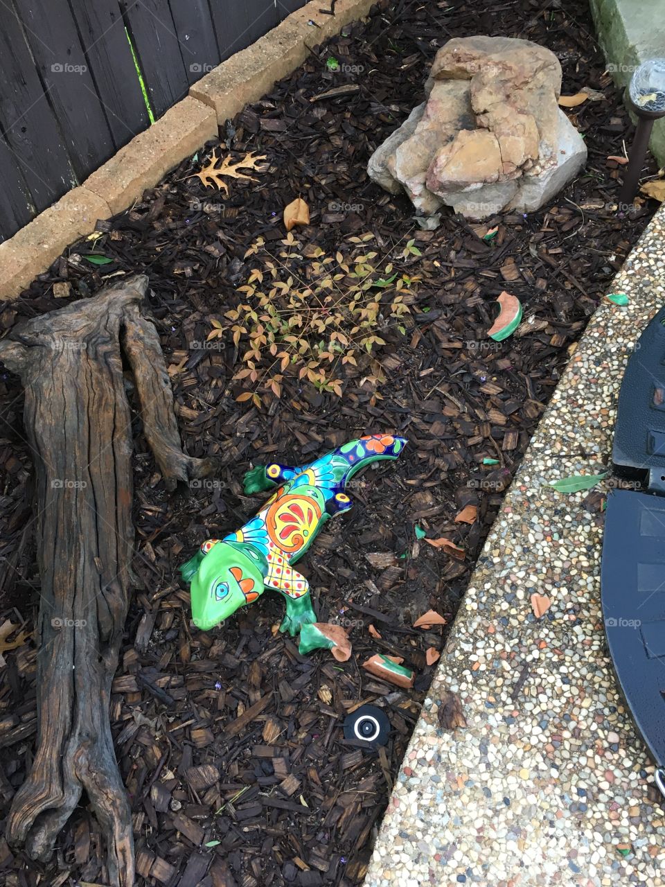 Tail-less Ceramic Lizard