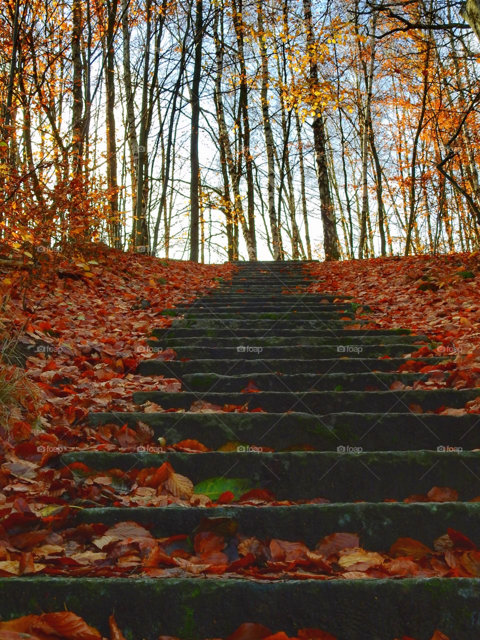 Steps into the fall